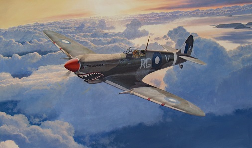 Spitfire Mk8 print