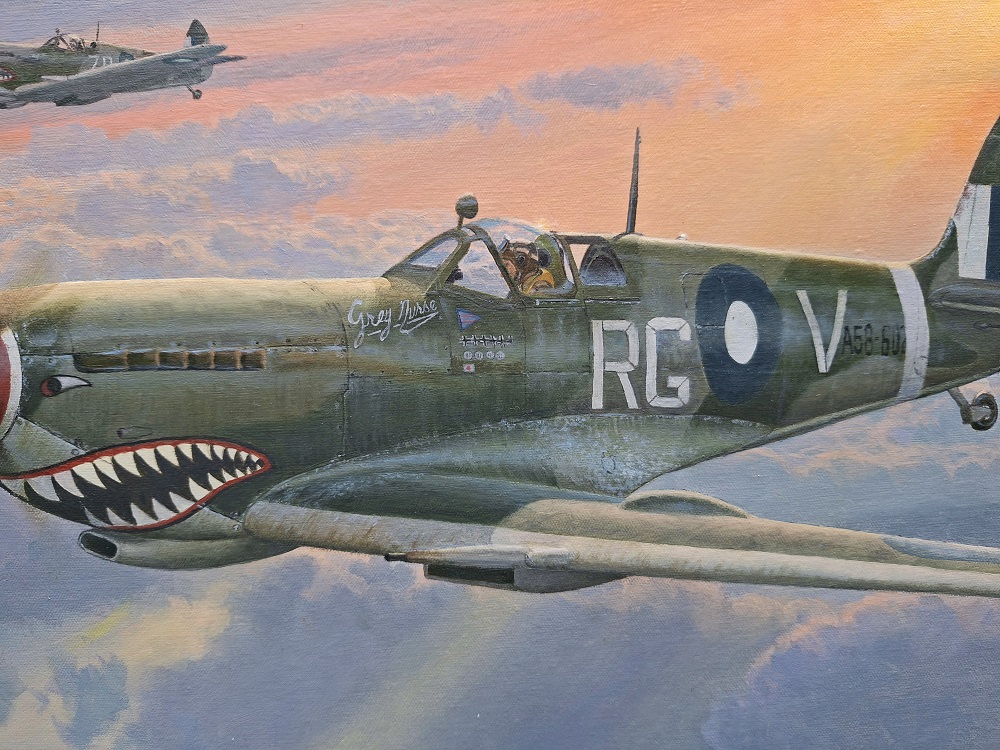 Australian aviation artist Steven Heyen