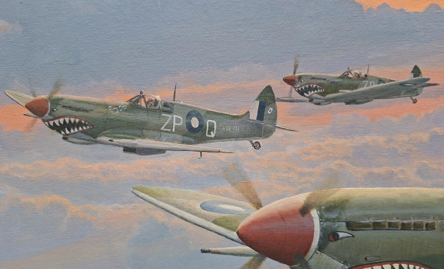 RAAF Spitfire Mk8 painting