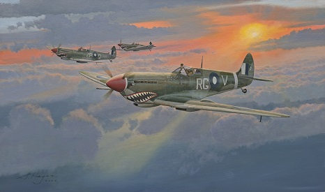 Australian aviation art