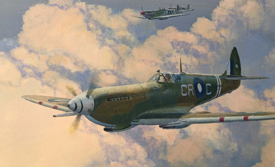 Spitfire Mk8 painting