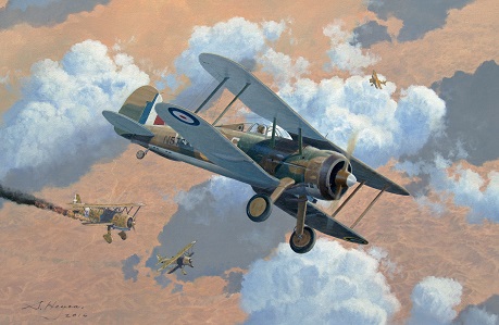 Gloster Gladiator painting
