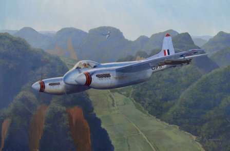 De havilland Hornet aviation painting