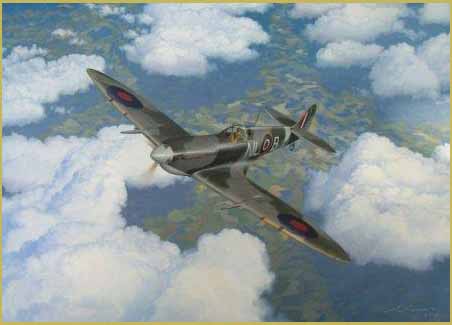 Spitfire 341 Squadron